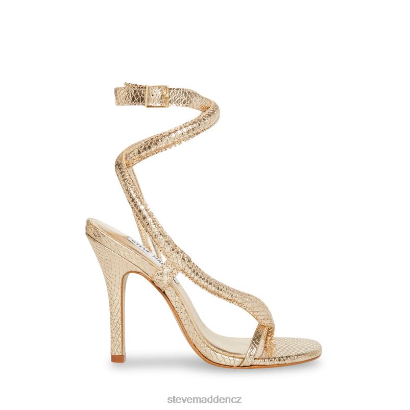 obuv zlatý had LR2BN551 ženy Steve Madden scalia