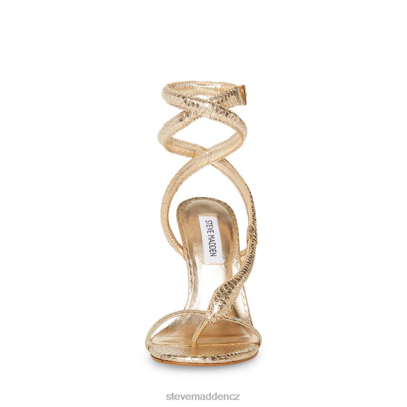 obuv zlatý had LR2BN551 ženy Steve Madden scalia