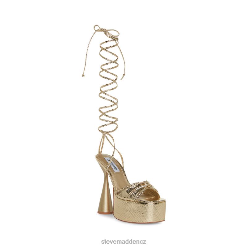 obuv zlatý had LR2BN552 ženy Steve Madden Yasmyn