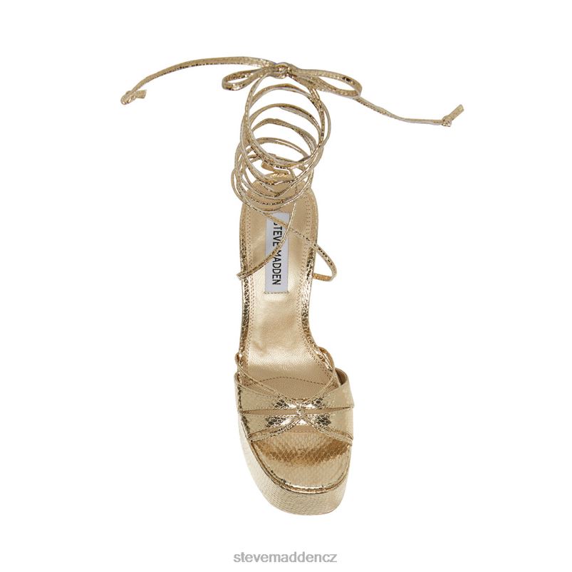 obuv zlatý had LR2BN552 ženy Steve Madden Yasmyn
