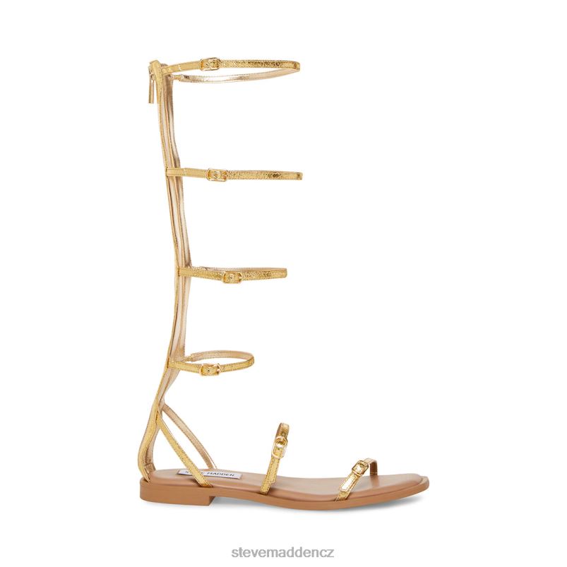 obuv zlato LR2BN77 ženy Steve Madden spartánský