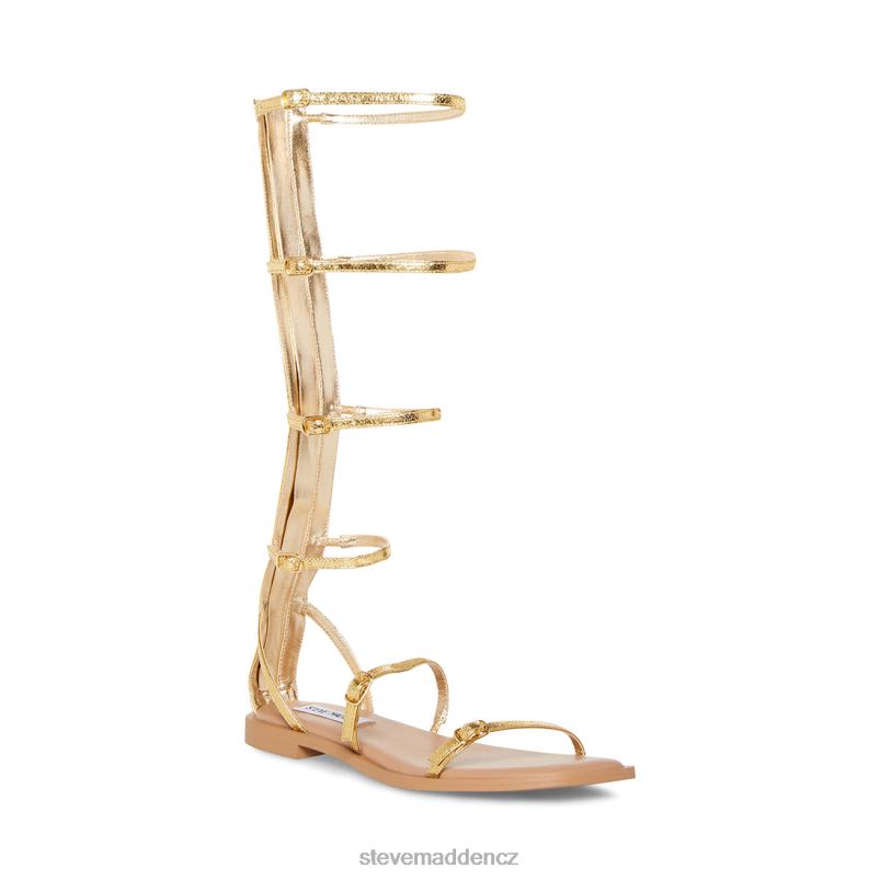obuv zlato LR2BN77 ženy Steve Madden spartánský