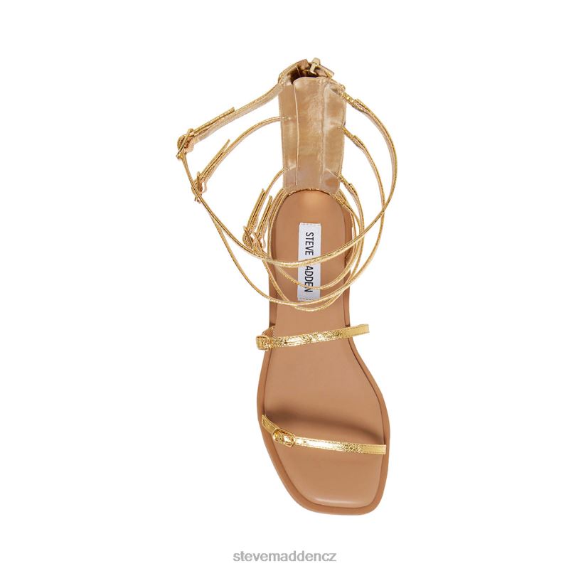 obuv zlato LR2BN77 ženy Steve Madden spartánský