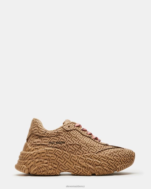 obuv hnědé multi LR2BN268 ženy Steve Madden majetek