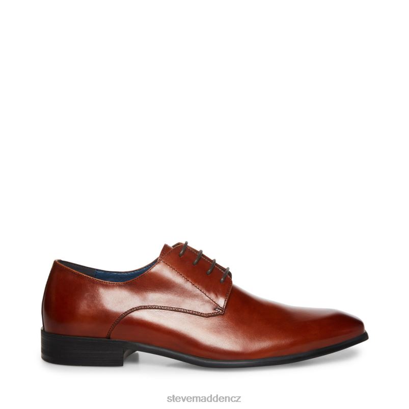 obuv koňaková kůže LR2BN1050 muži Steve Madden beaux
