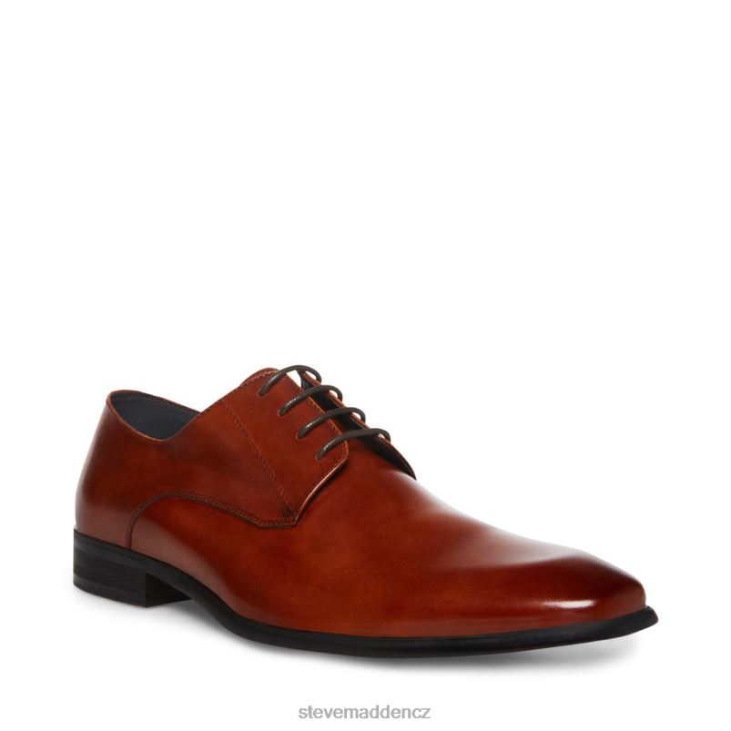 obuv koňaková kůže LR2BN1050 muži Steve Madden beaux