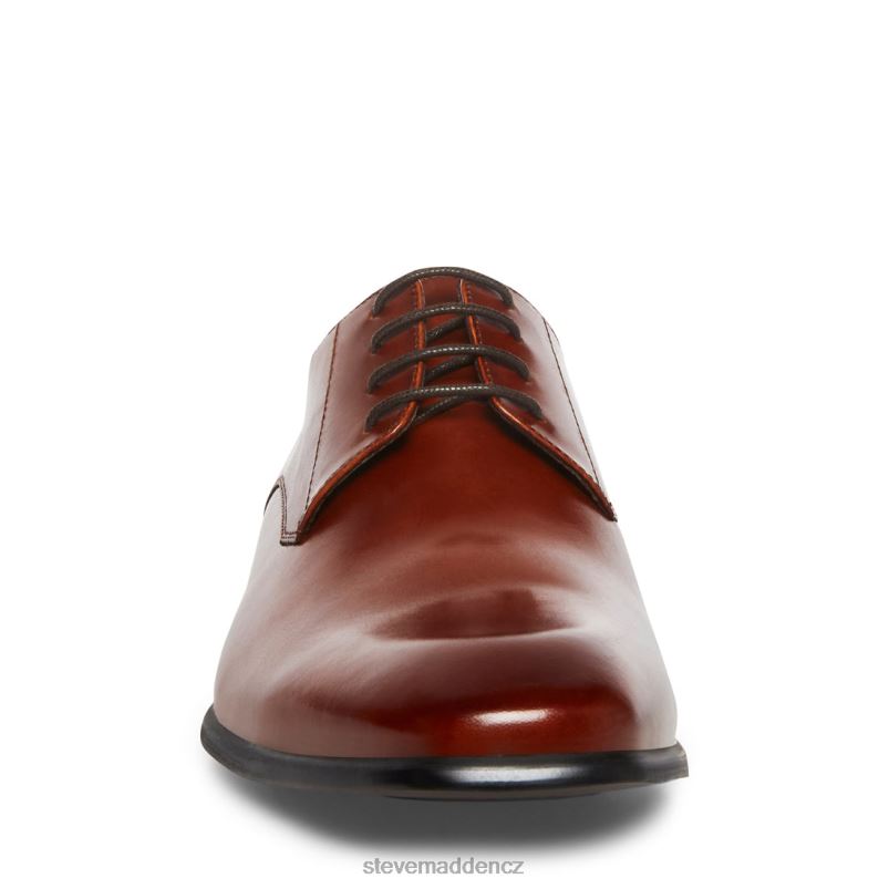 obuv koňaková kůže LR2BN1050 muži Steve Madden beaux
